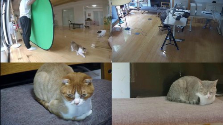 HHHISHHH发布了一个斗鱼视频2020-06-17