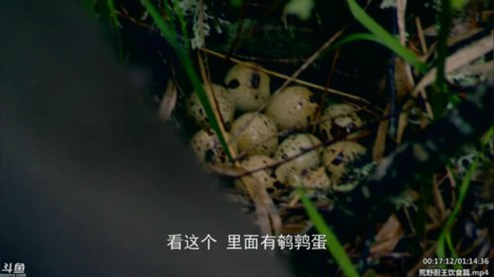 护法惊丶发布了一个斗鱼视频2020-06-17