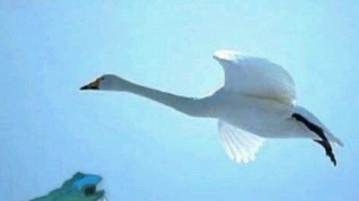 97系统判定详解