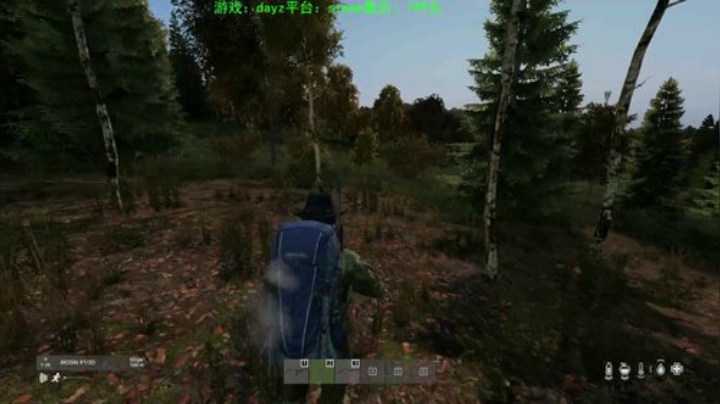 dayz (鲁迅说：你这个枪打的真准） 2020-06-17 18点场