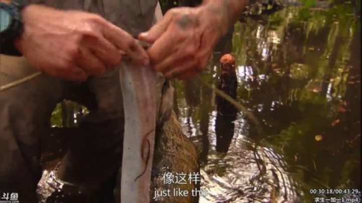 静思世语发布了一个斗鱼视频2020-06-18