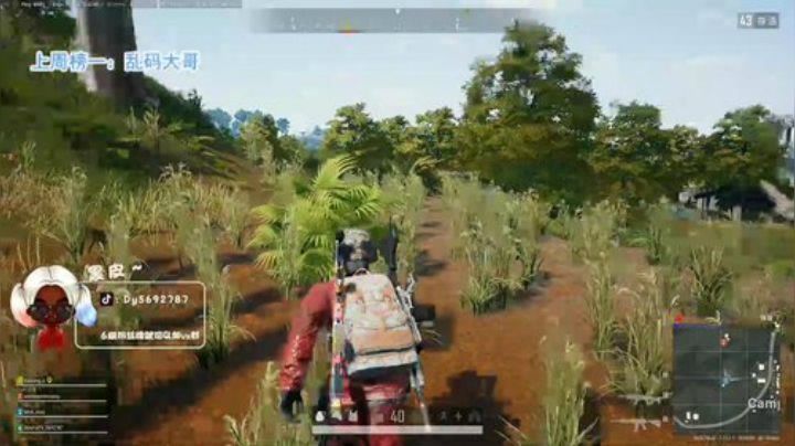 【哈斯】火烈鸟大师皮 2020-06-17 21点场