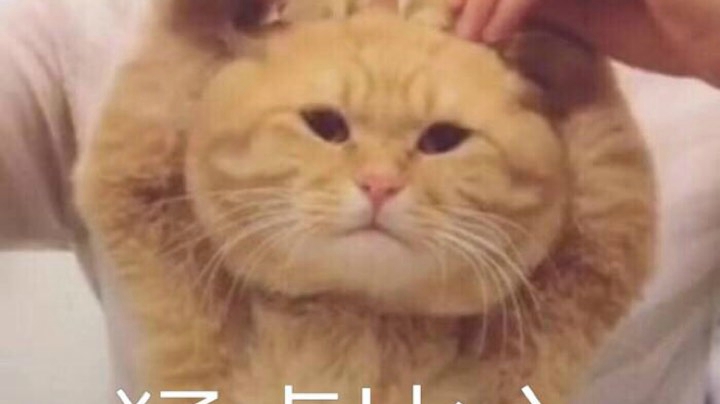 点点关注吖
