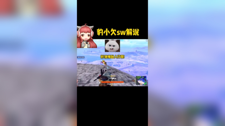 暴笑倩SW解说...