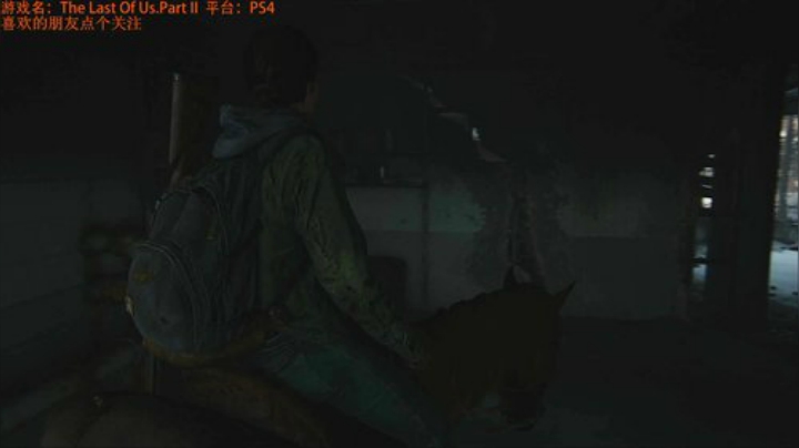 TLOU2，艾莉的成年生活 2020-06-19 00点场