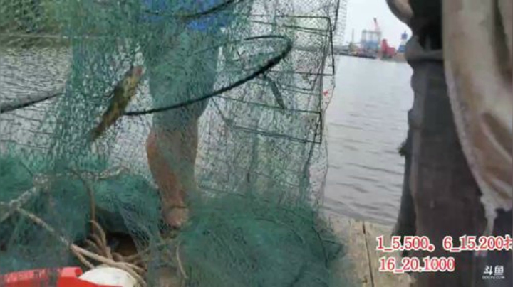 科头溜子发布了一个斗鱼视频2020-06-19