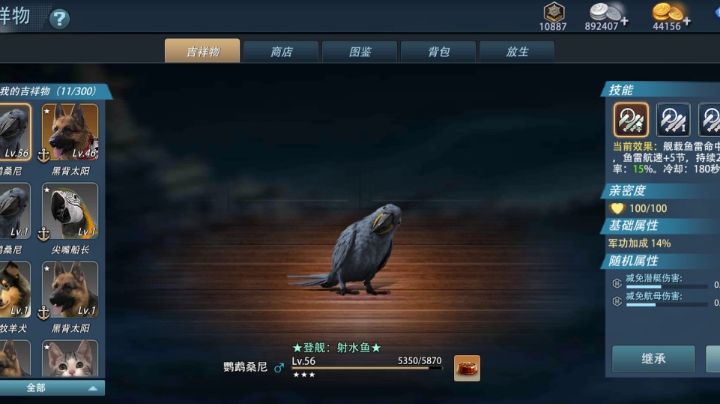 新主播求一波关注