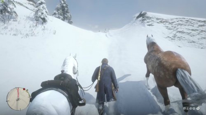 荒野大镖客：救赎2 6162852 2020-06-19 22点场