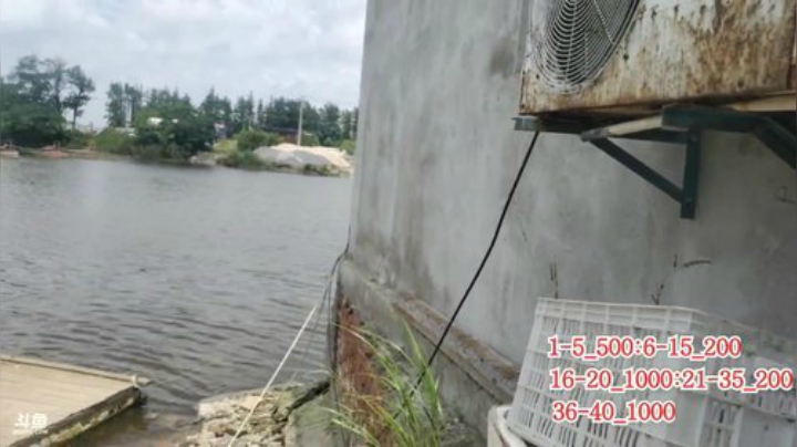 科头溜子发布了一个斗鱼视频2020-06-20
