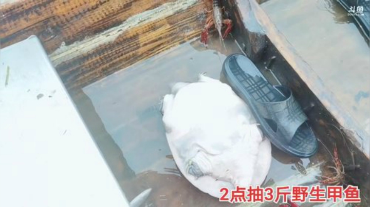 魅力生活i的直播间 2020-06-21 13点场