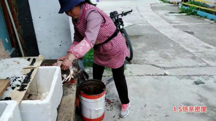 318《西藏行》day8 2020-06-21 12点场