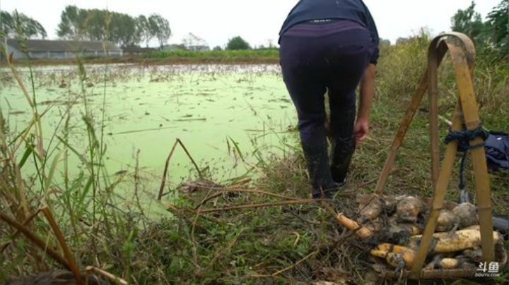 哆啦爱梦梦发布了一个斗鱼视频2020-06-21