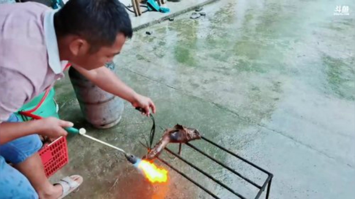 雨下的没完没了啦 2020-06-22 09点场