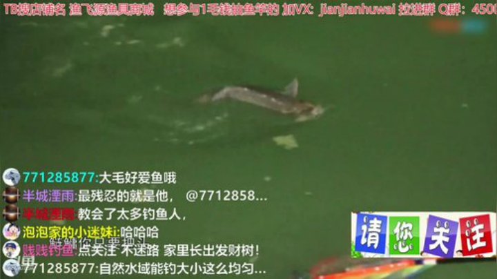 我在斗鱼看贱贱钓鱼直播户外
