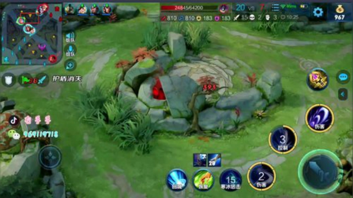 万场国服露娜 带粉上荣耀 2020-06-22 16点场