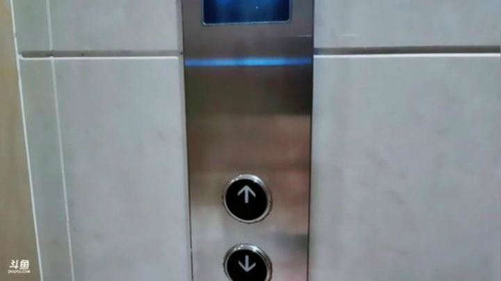 户外直播五小时 2020-06-24 11点场