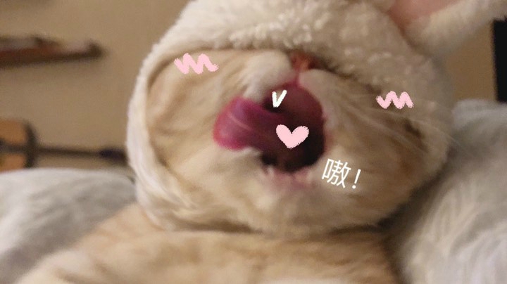 2  录像