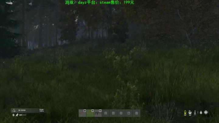 dayz (马保国嫡传弟子在线直播） 2020-06-24 21点场