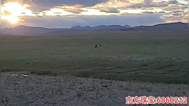 blockstore发布了一个斗鱼视频2020-06-25