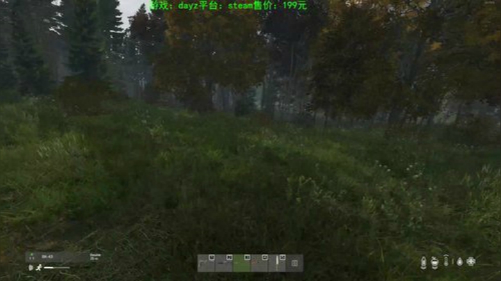 dayz (马保国嫡传弟子在线直播） 2020-06-24 00点场