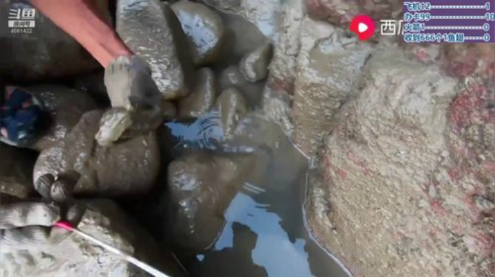 新的礼拜新的开始~~~奥利给~冲冲冲~ 2020-06-24 00点场