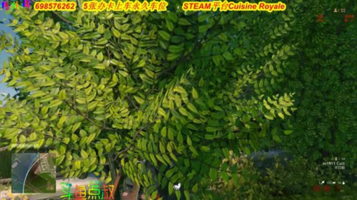 有车位❤️小朋友吃鸡了 2020-06-24 22点场