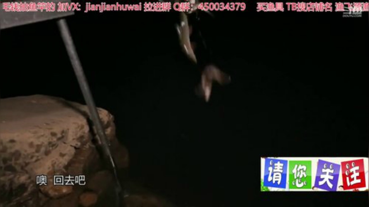 我在斗鱼看贱贱钓鱼直播户外