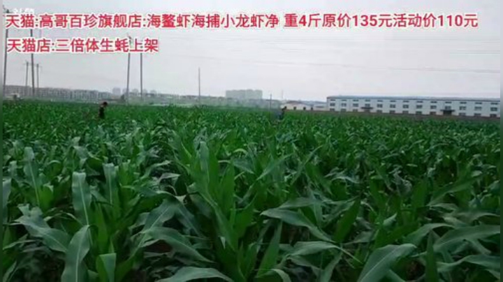 西北老狼哥哥发布了一个斗鱼视频2020-06-25