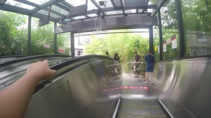 哆啦爱梦梦发布了一个斗鱼视频2020-06-26