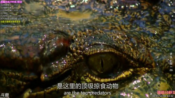护法惊丶发布了一个斗鱼视频2020-06-26