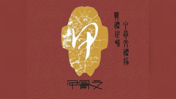 DM教学局