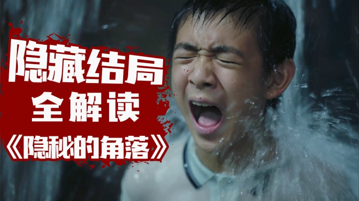 隐藏结局全解读！国产悬疑封神作！最终真相令人窒息！过瘾解说《隐秘的角落》大结局