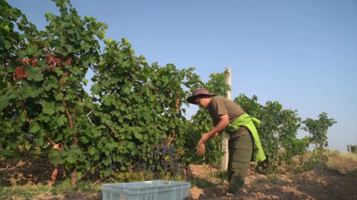 哆啦爱梦梦发布了一个斗鱼视频2020-06-27