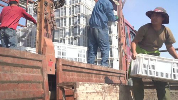 哆啦爱梦梦发布了一个斗鱼视频2020-06-27