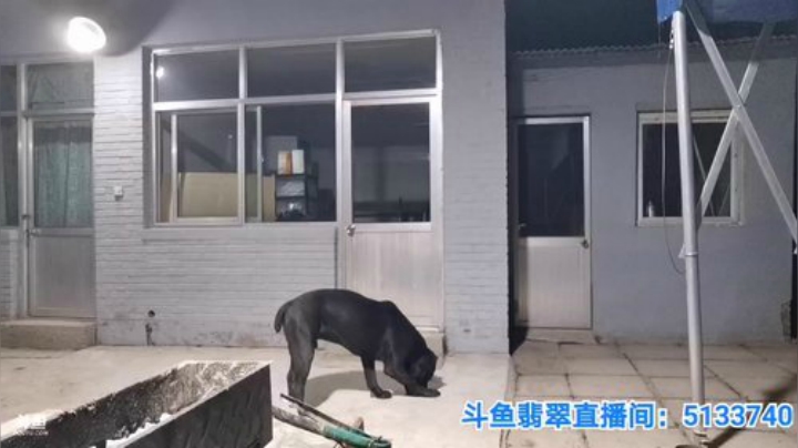 扬城执法官灬发布了一个斗鱼视频2020-06-28