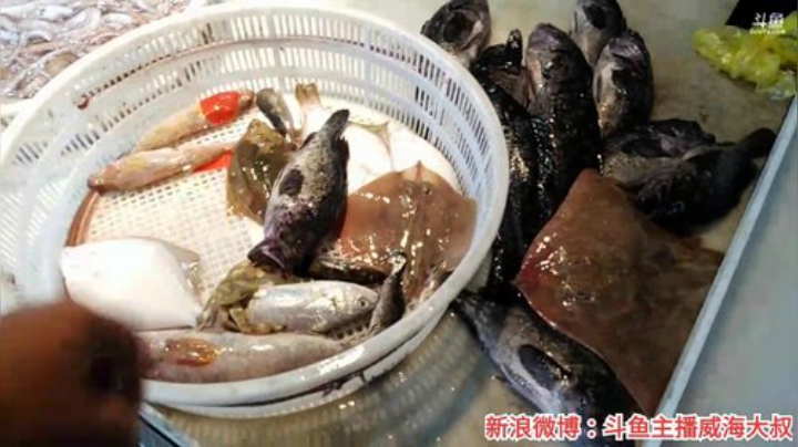 风里雨里，海鲜走起！ 2020-06-28 13点场