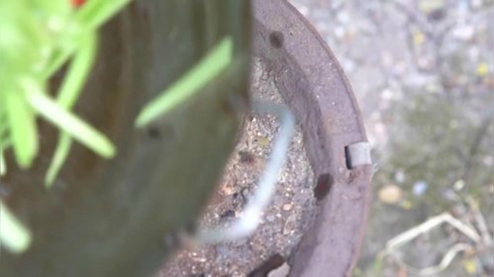 哆啦爱梦梦发布了一个斗鱼视频2020-06-28