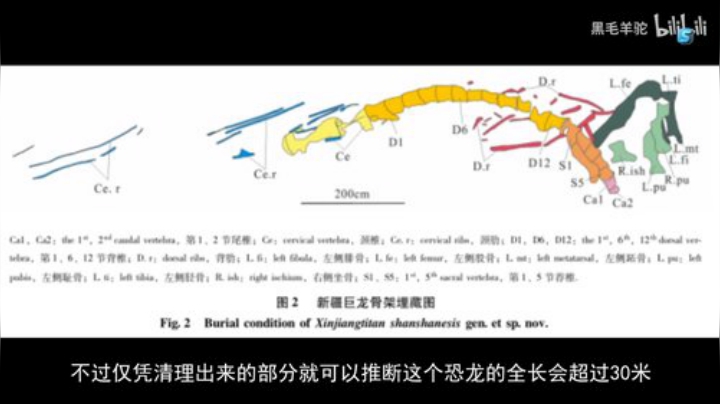 2点解说 SAG VS RNG 2020-06-28 18点场