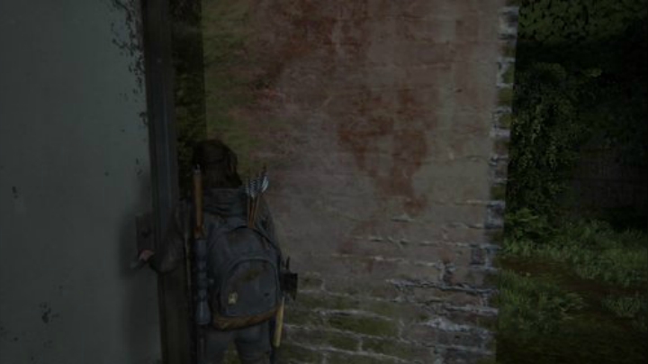 P5s  tlou2/≧▽≦)/ 2020-06-28 13点场