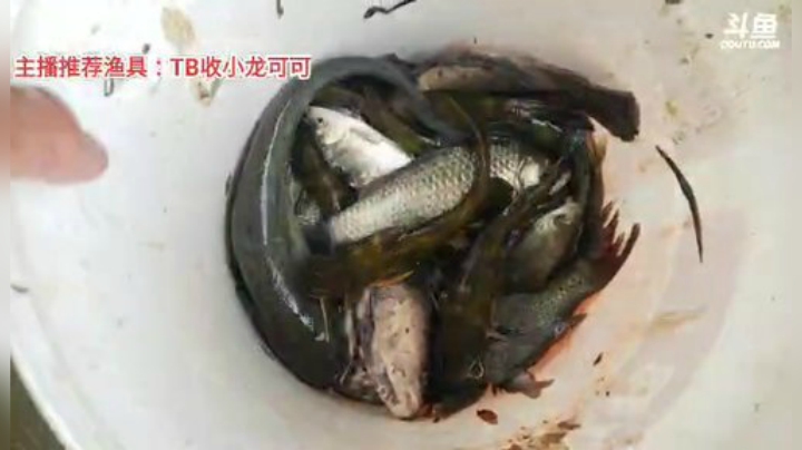 十一郎君01发布了一个斗鱼视频2020-06-29