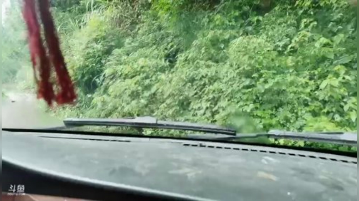 开心快乐美食 2020-06-29 11点场