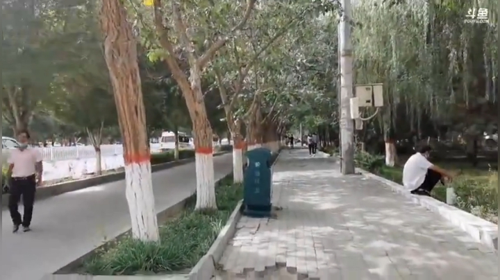 6.28新疆轮台1