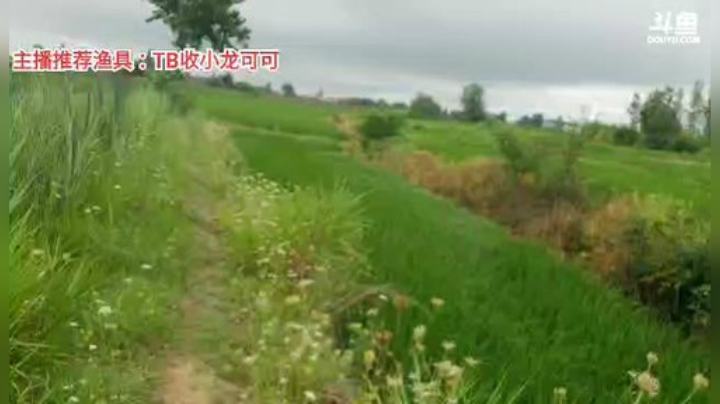 十一郎君01发布了一个斗鱼视频2020-06-29
