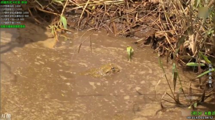 静思世语发布了一个斗鱼视频2020-06-29