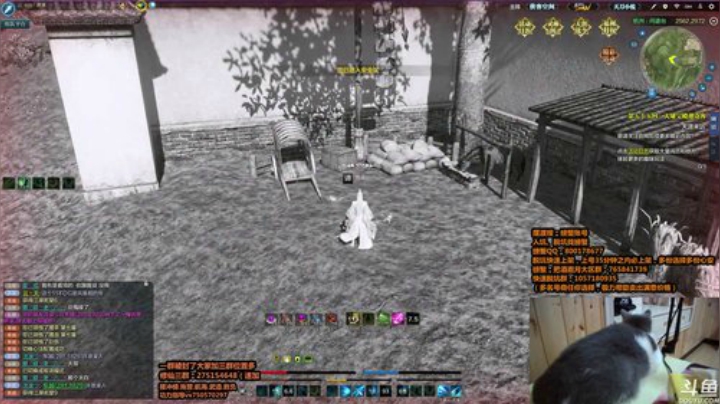 晚上好，有活吗？！！ 2020-06-29 03点场