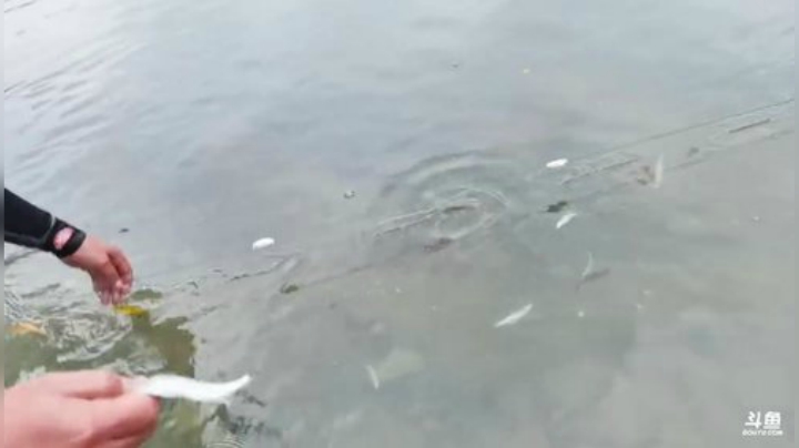 开心快乐美食 2020-06-29 09点场