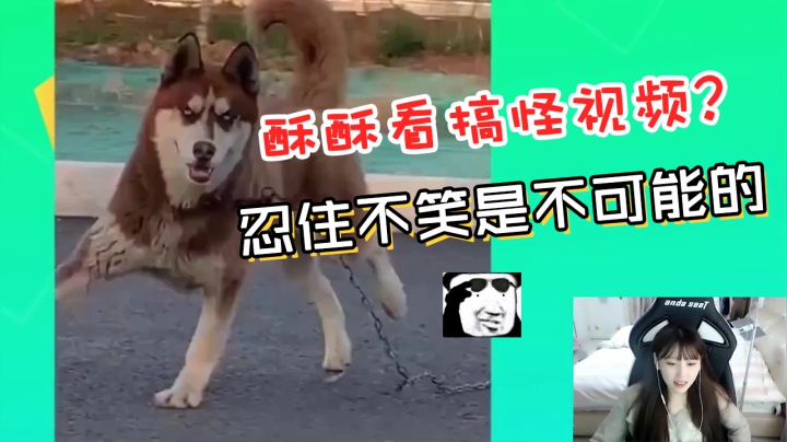 LOL酥酥：挑战看搞怪视频不笑？完败了