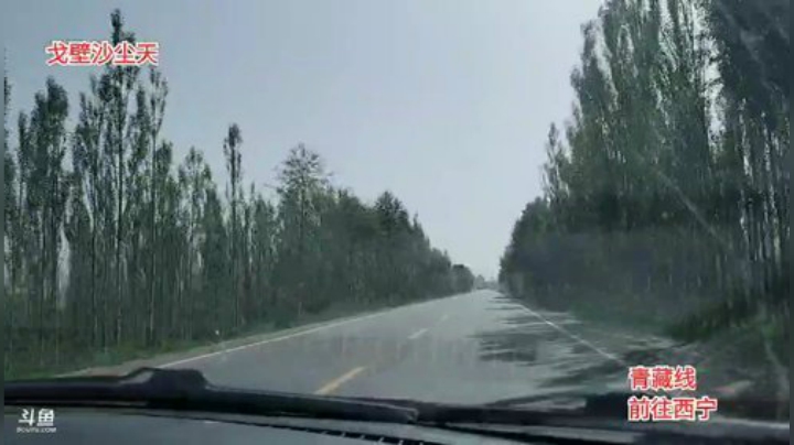 青海行，day19 2020-07-01 10点场