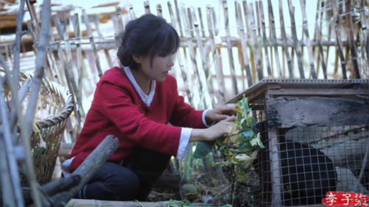 你看我还有机会吗？ 2020-07-01 16点场