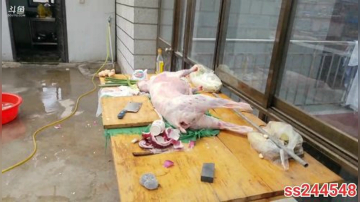 纪实直播:山南地区拉姆拉错，环线97天 2020-07-02 11点场